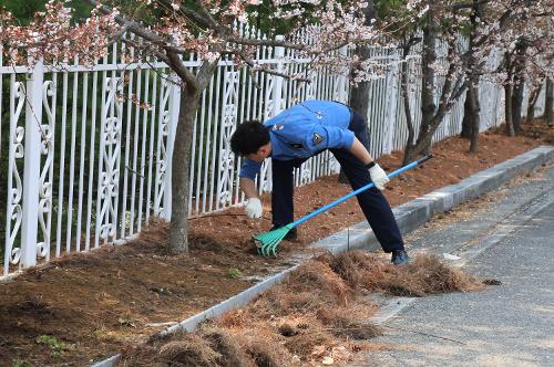 250404 동해해경, 제80회 식목일 맞이 환경정화 활동 실시 사진1