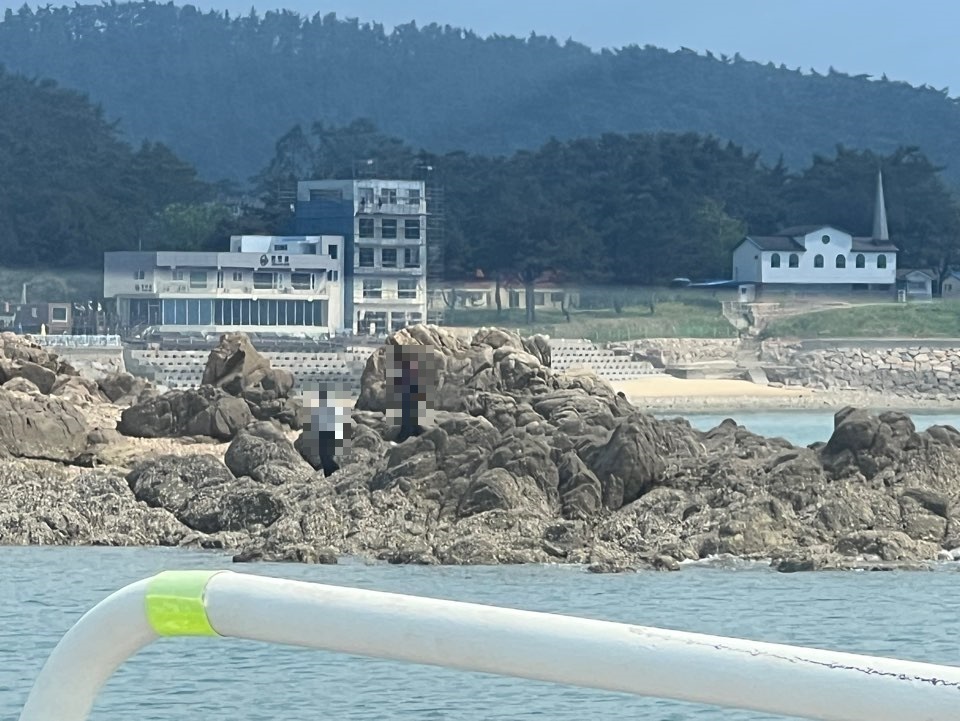 닭섬 고립자