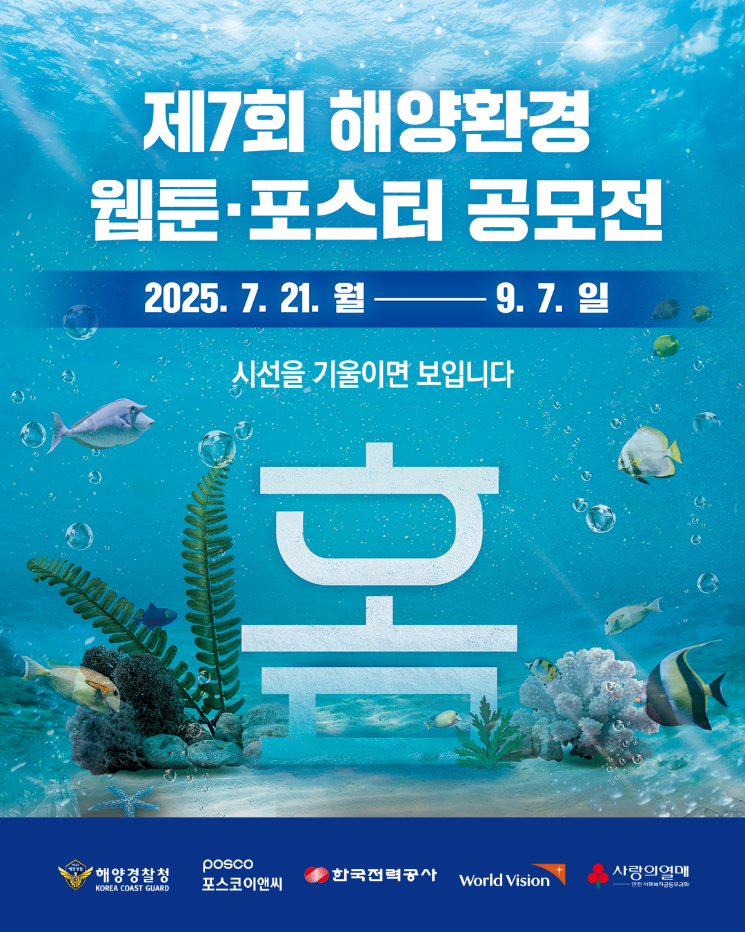 카드뉴스