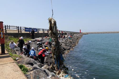 제31회 바다의 날 기념 한림항 정화활동 4
