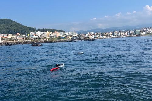 240613-꼭 붙잡은 패들보드, 삼양 인근 해상 표류자 구조 사진1