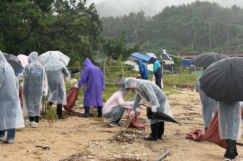 250925 국제연안정화의 날’ 민·관 합동 해양쓰레기 수거 캠페인 2