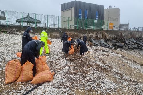 장마철 ‘해양쓰레기 OUT’ 연안 정화 활동 시행