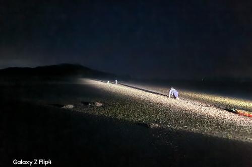 안산 인근 갯벌 안전우려자 2명 신속 구조 2
