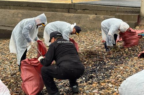 (250925) 국제연안정화의날 3