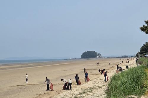 250527 태안해경, 제30회 바다의 날 기념 해양환경 보전활동 실시 5