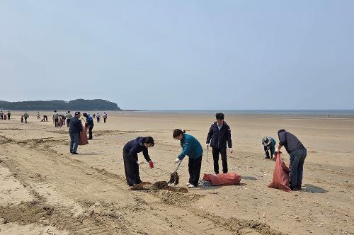 250527 태안해경, 제30회 바다의 날 기념 해양환경 보전활동 실시 3