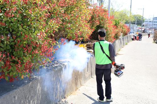 250426 울산 연안 수중 정화활동 사진4