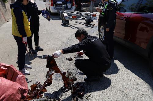 250426 울산 연안 수중 정화활동 사진6